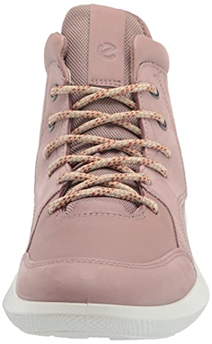 Woodrose/Woodrose/Woodrose