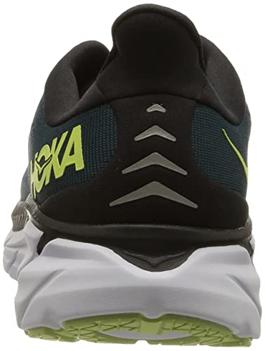 Blue Coral / Butterfly