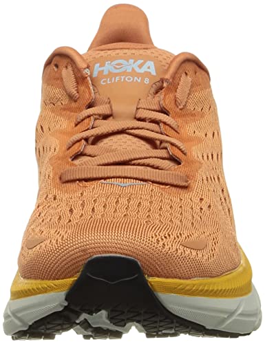 Sun Baked / Shell Coral