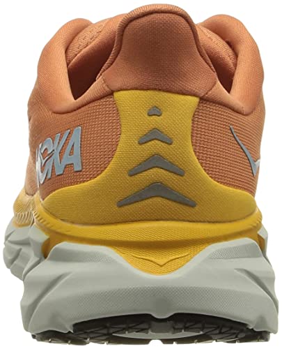 Sun Baked / Shell Coral