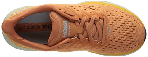 Sun Baked / Shell Coral