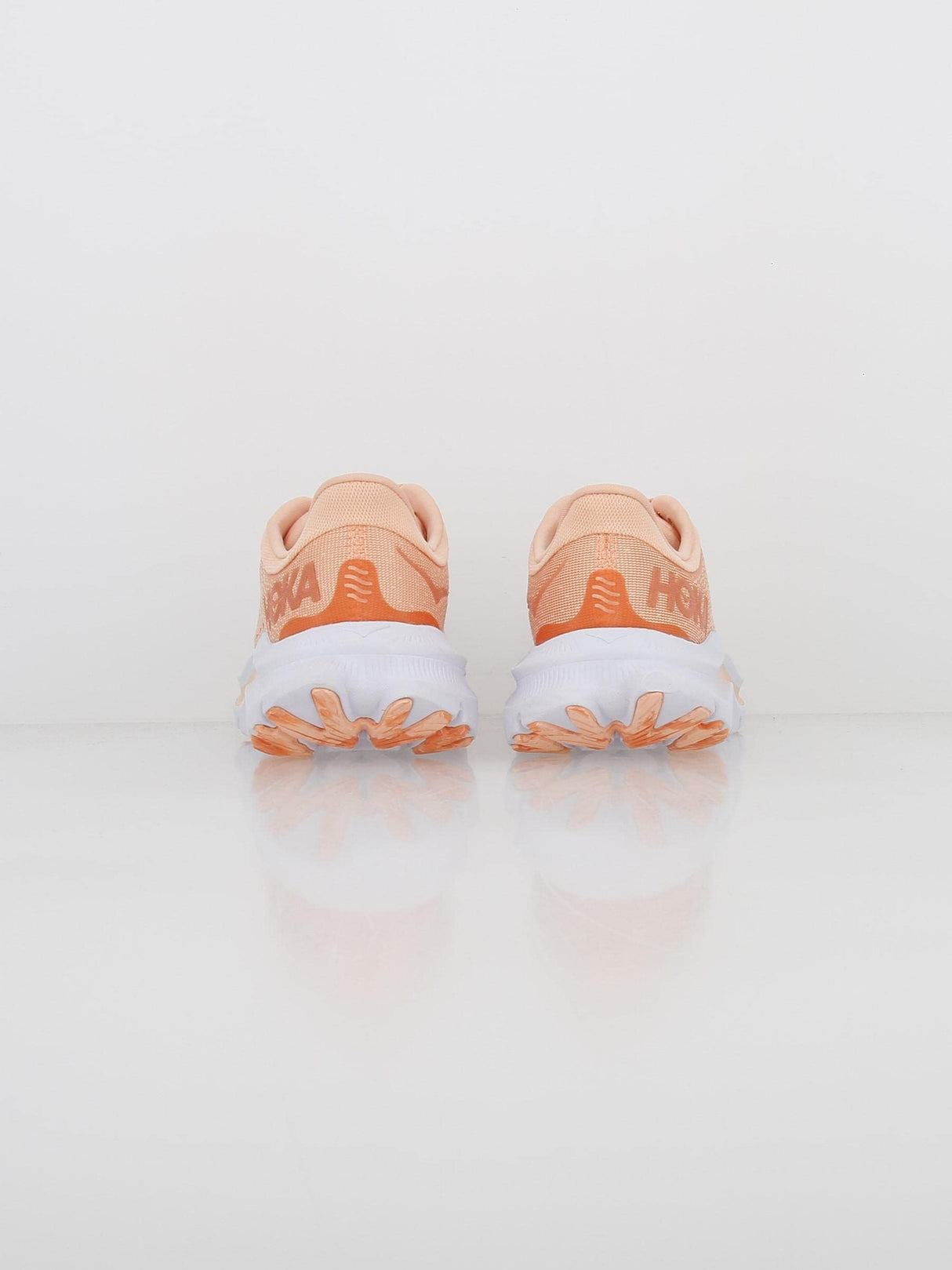 Peach Parfait / Shell Coral