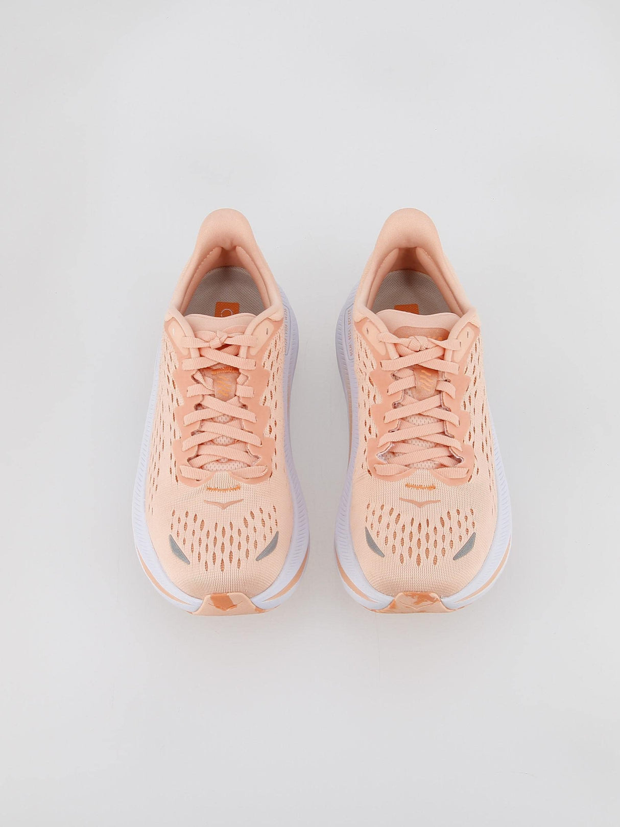 Peach Parfait / Shell Coral