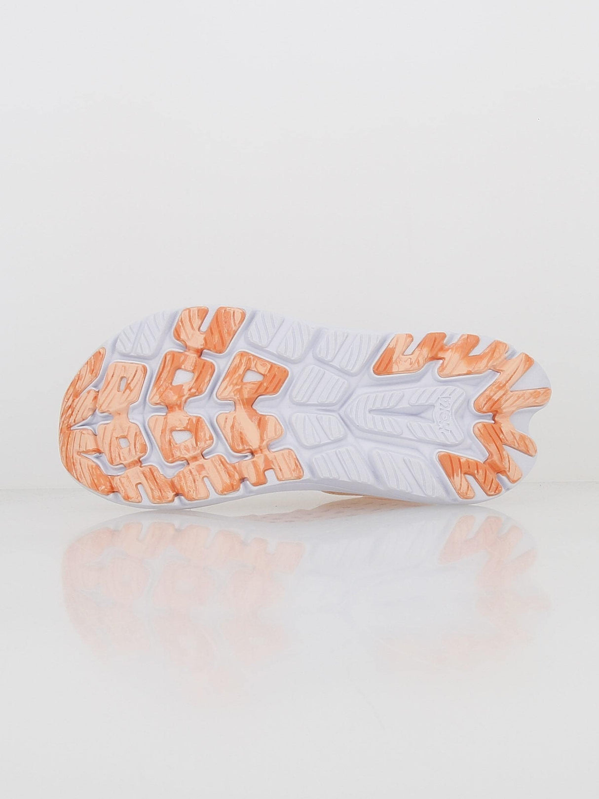 Peach Parfait / Shell Coral