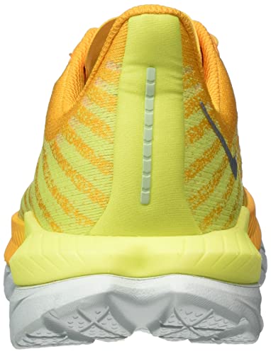 Radiant Yellow / Evening Primrose