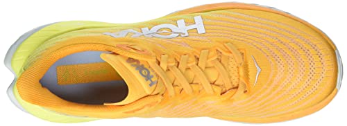 Radiant Yellow / Evening Primrose