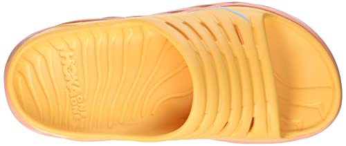 Amber Yellow / Shell Coral