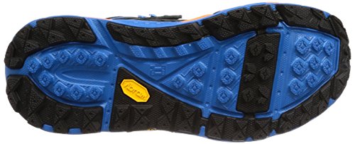 Anthracite / Orange Clown Fish