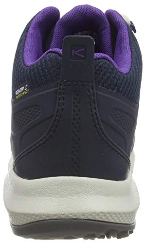 Blue Nights/Silver Birch