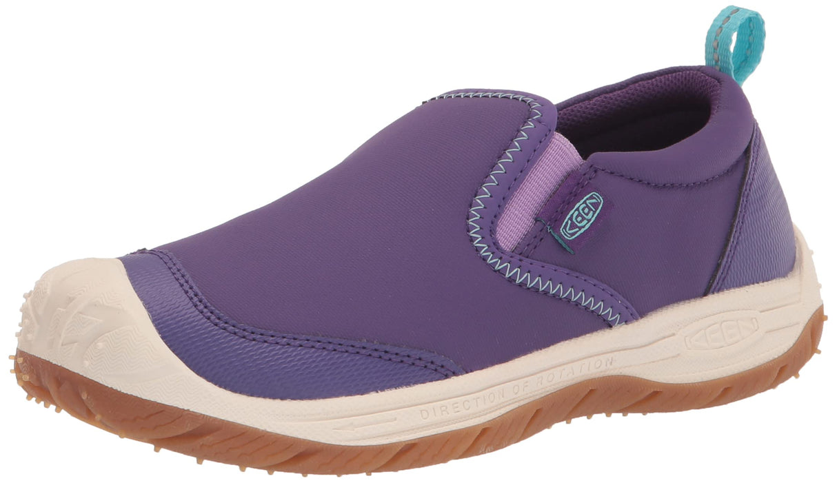 Tillandsia Purple/Ipanema