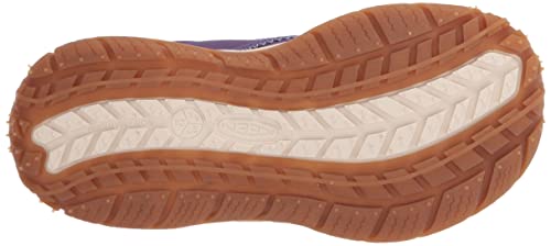 Tillandsia Purple/Ipanema