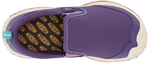 Tillandsia Purple/Ipanema