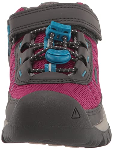 Festival Fuchsia/Magnet