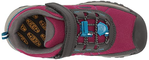 Festival Fuchsia/Magnet