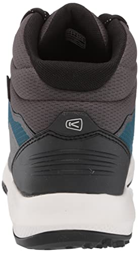 Blue Coral/Star White