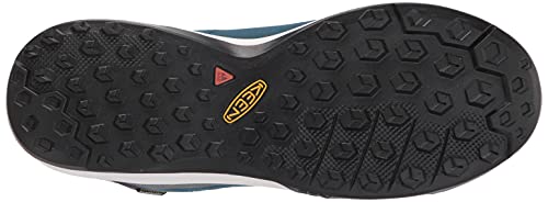 Blue Coral/Star White