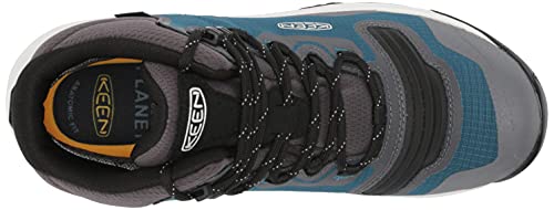 Blue Coral/Star White