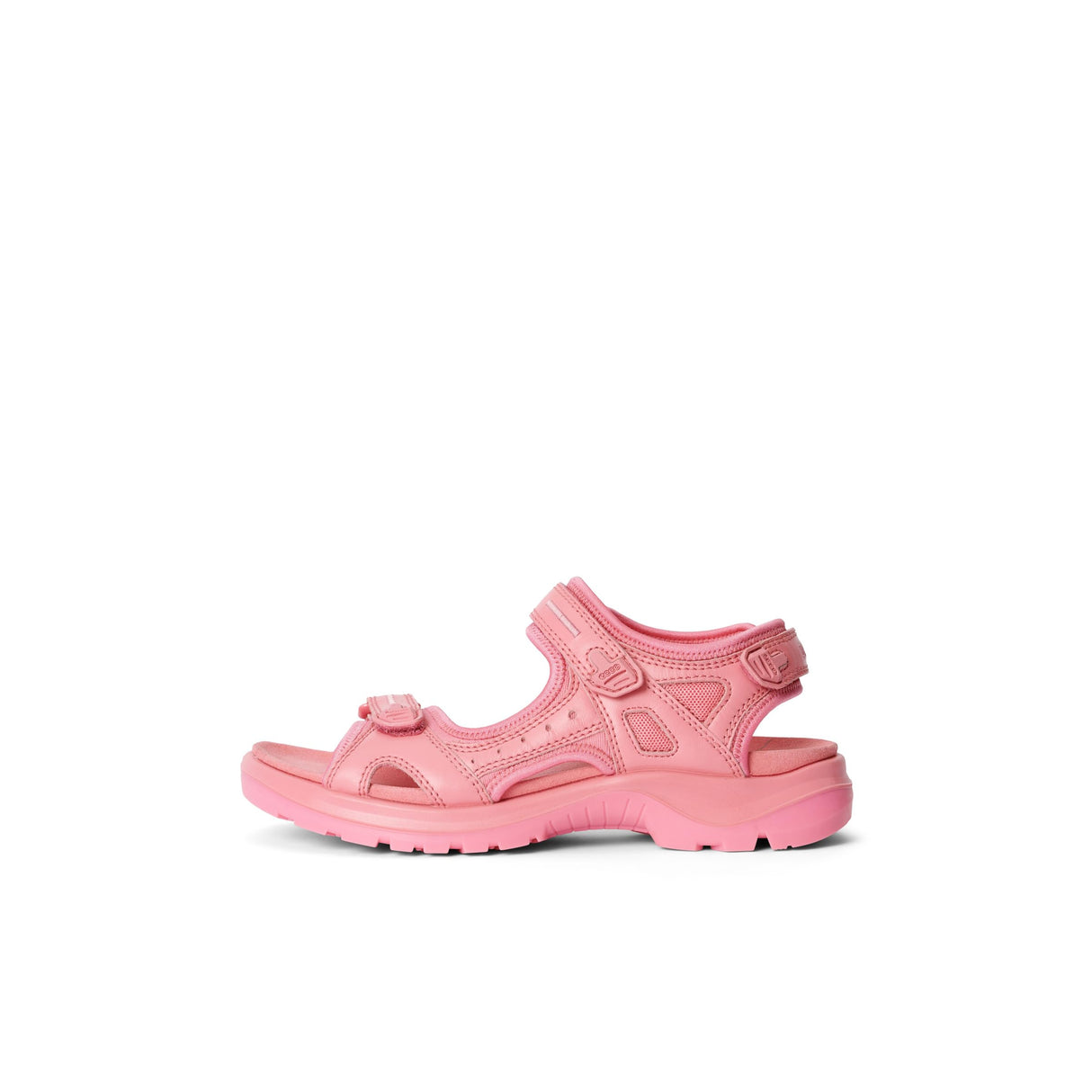 Bubblegum