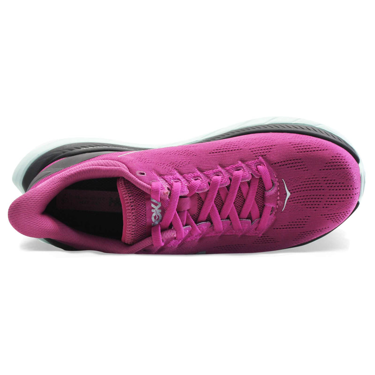 Festival Fuchsia / Black