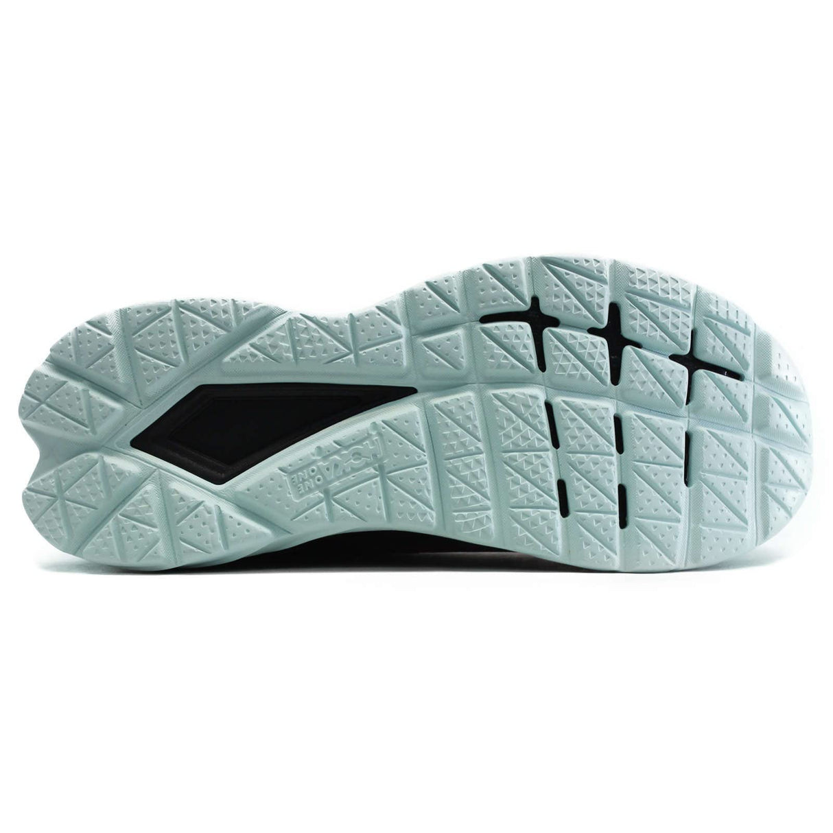 Festival Fuchsia / Black