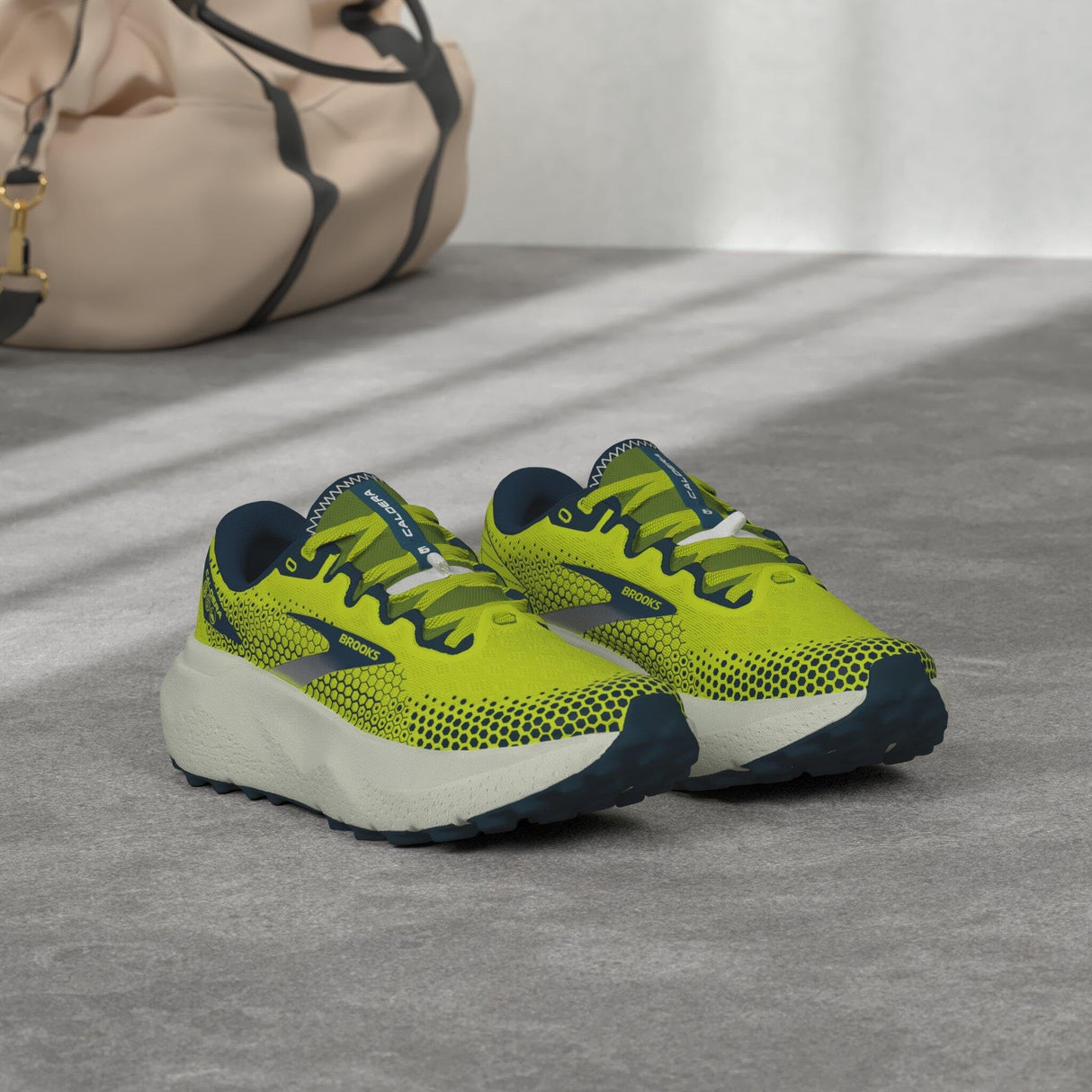 Nightlife/Titan/Oyster Mushroom