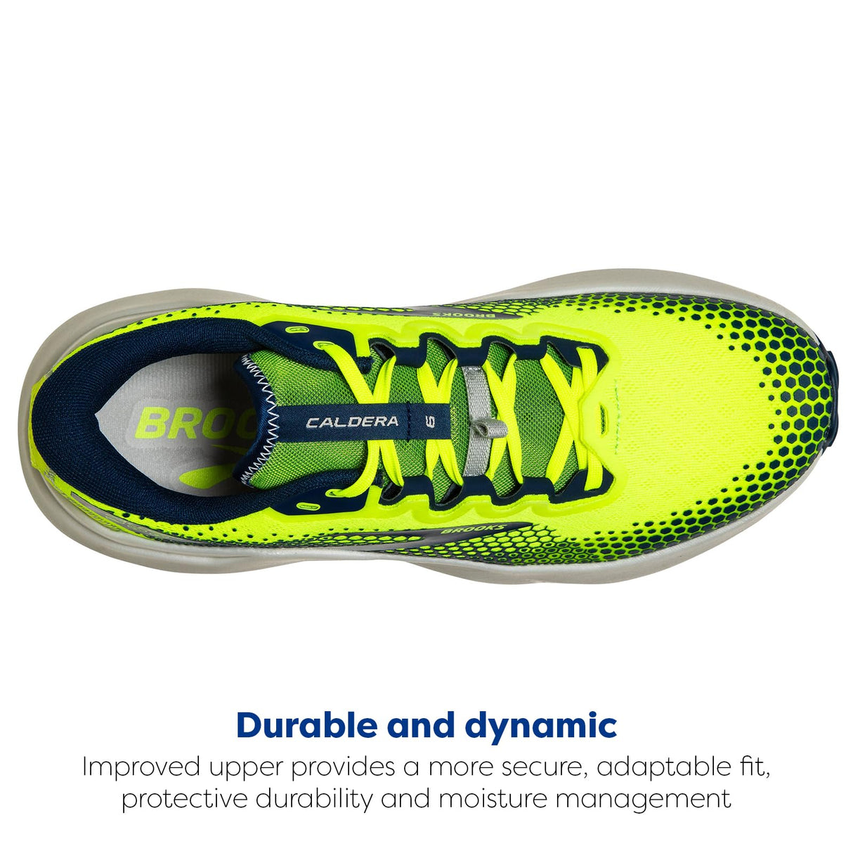 Nightlife/Titan/Oyster Mushroom