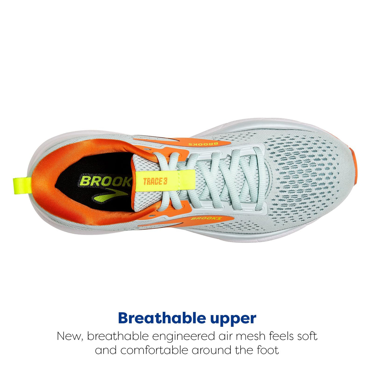 Skylight/Sunset/Nightlife