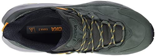 Thyme / Radiant Yellow