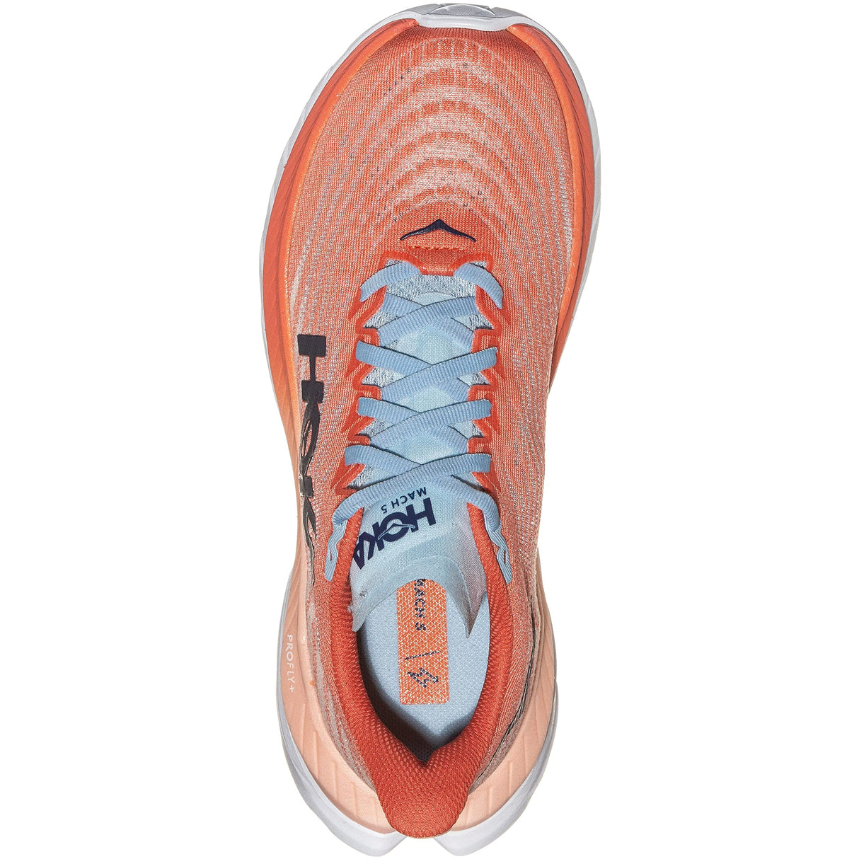 Camellia / Peach Parfait