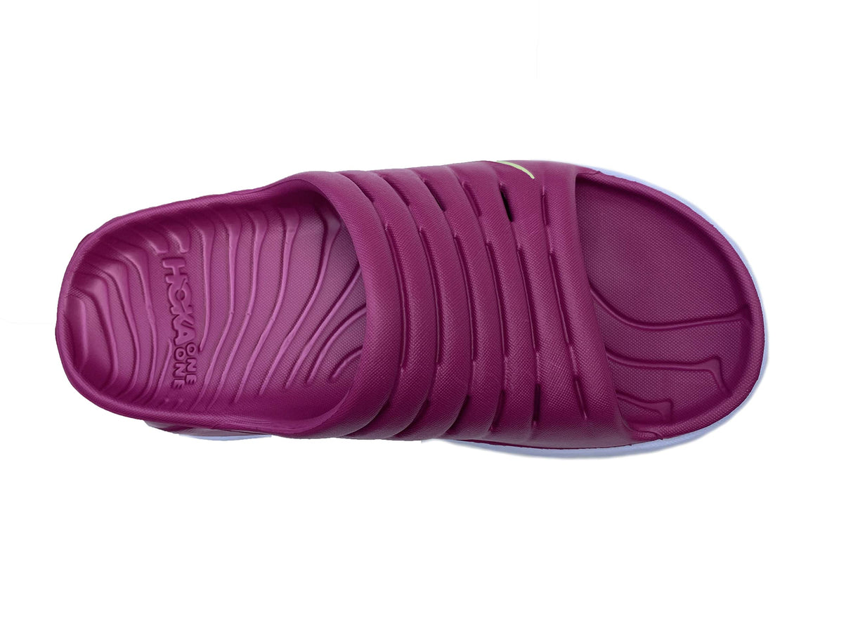 Festival Fuchsia / Butterfly