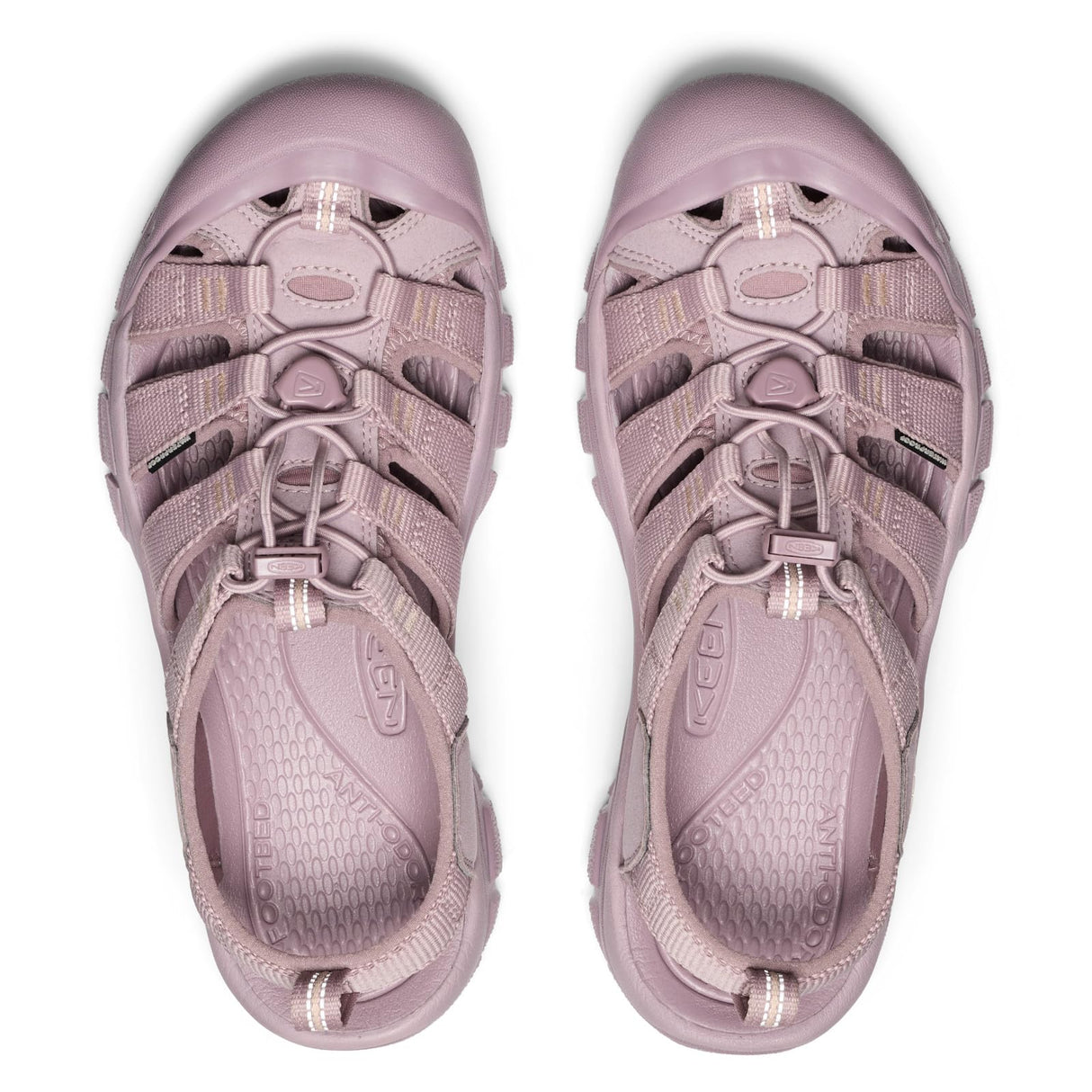 Monochrome/Toadstool