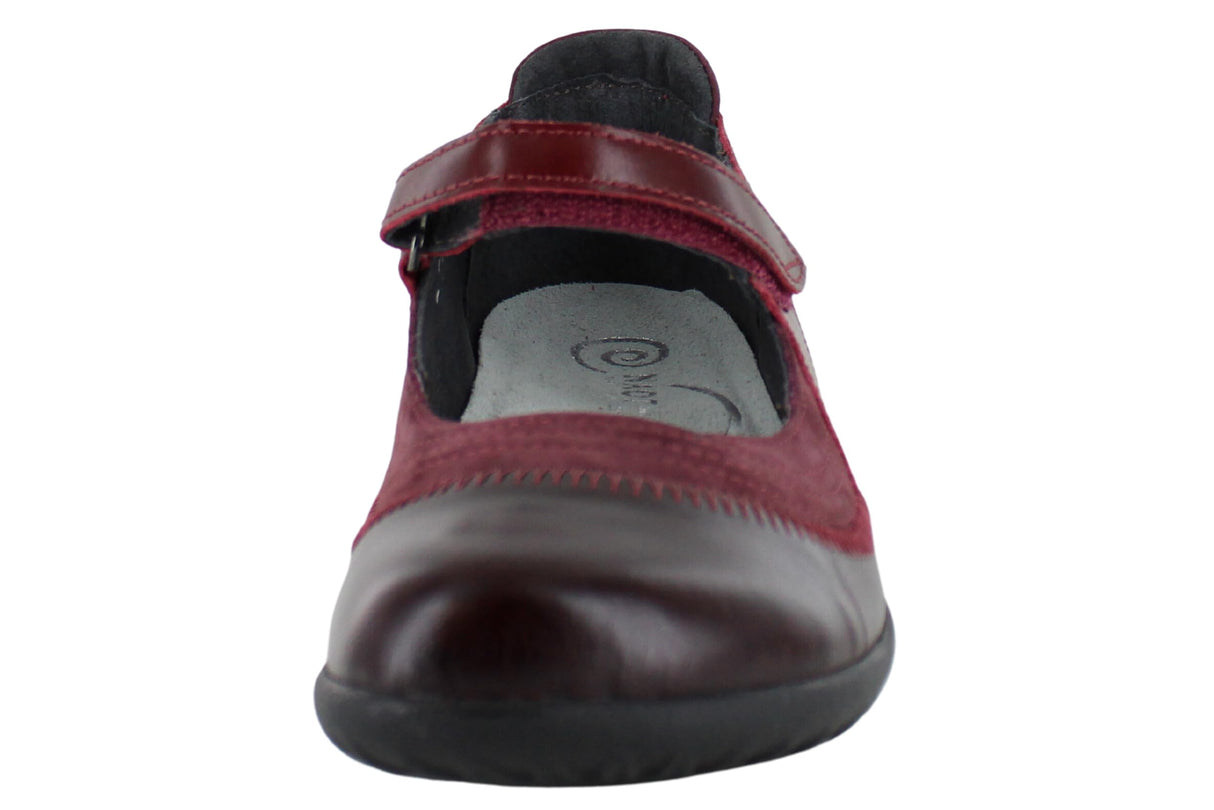 Violet/Bourdeaux/Rumba