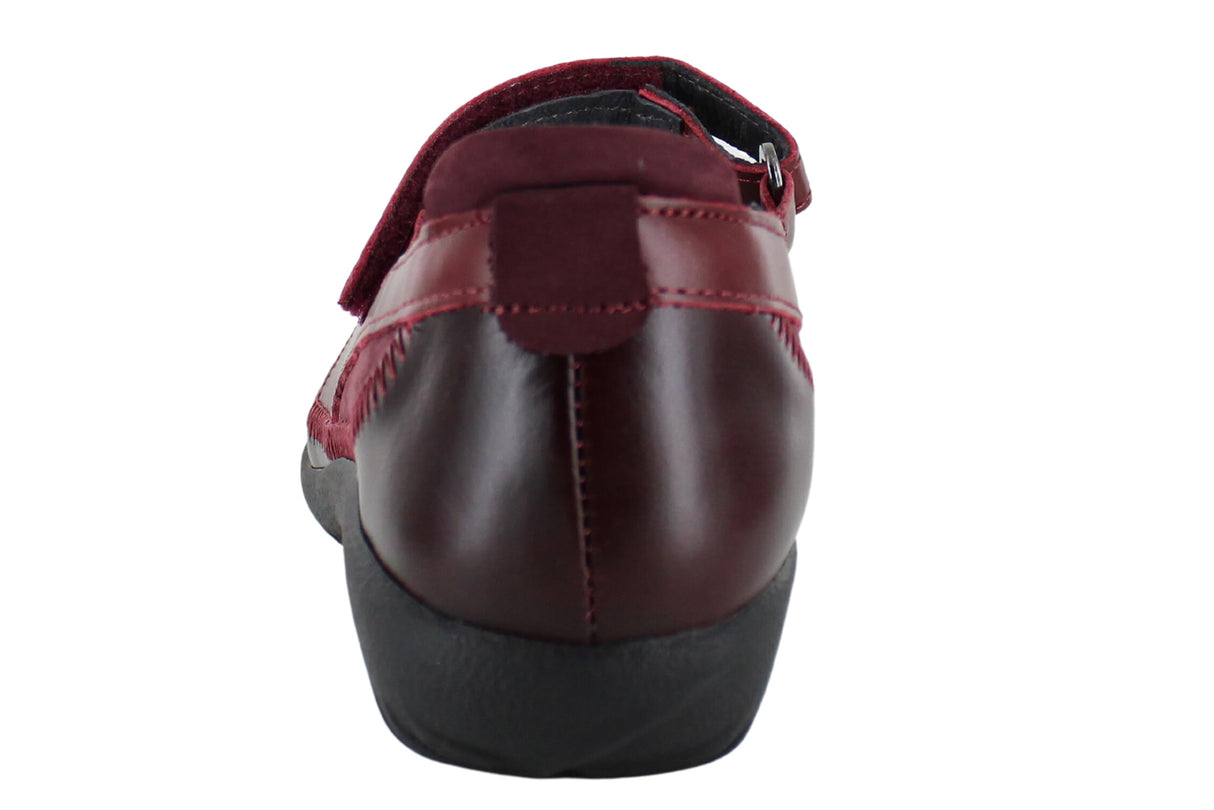 Violet/Bourdeaux/Rumba