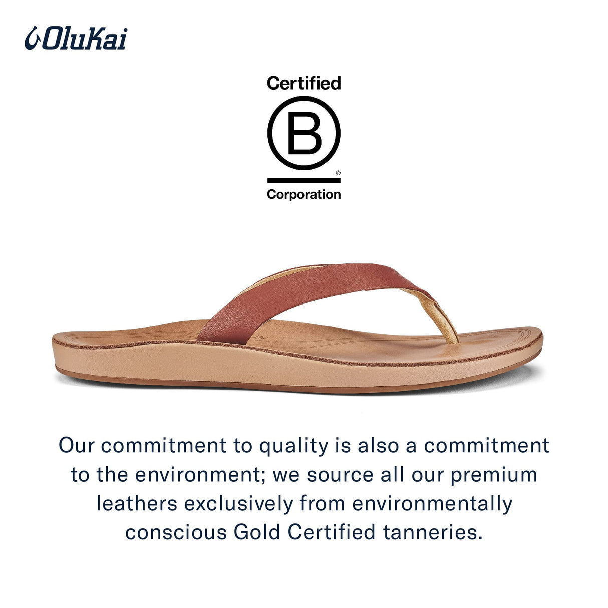 Cedarwood/Golden Sand