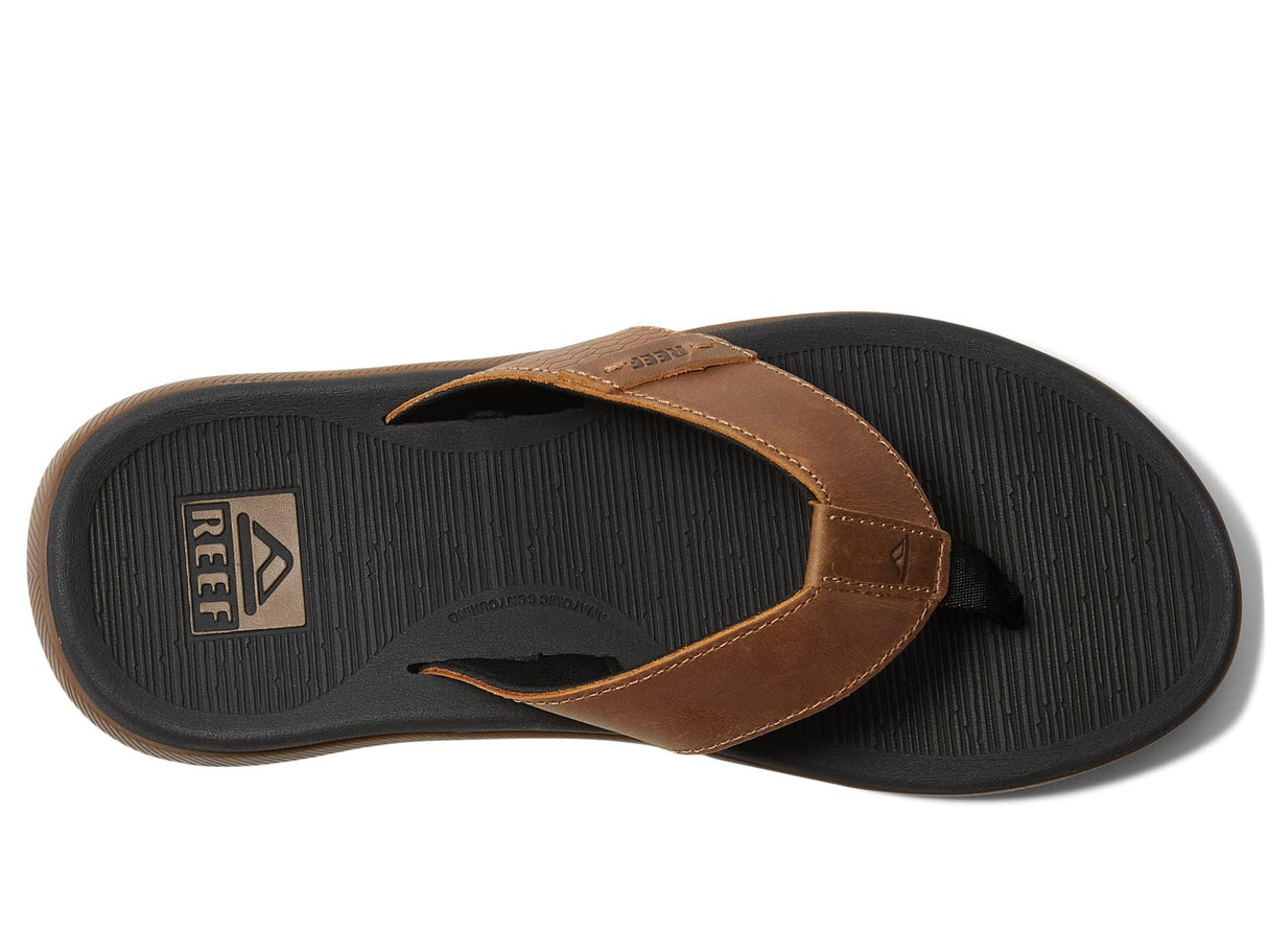 Black And Tan