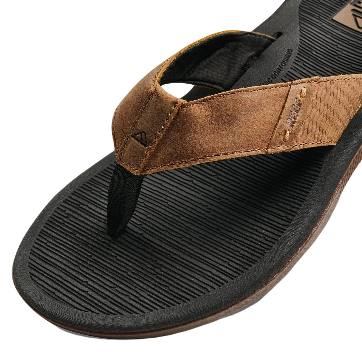 Black And Tan