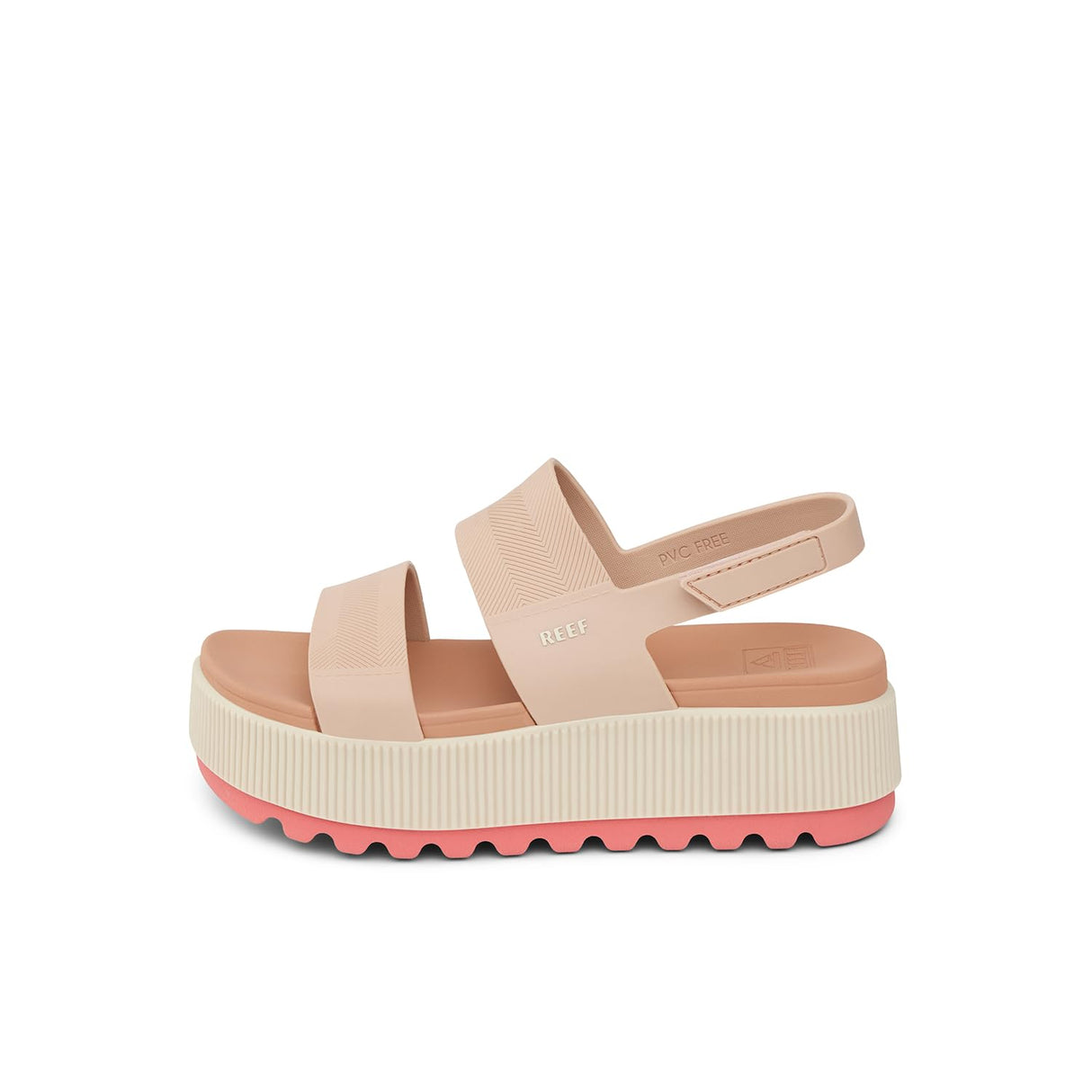 Sunset Coral