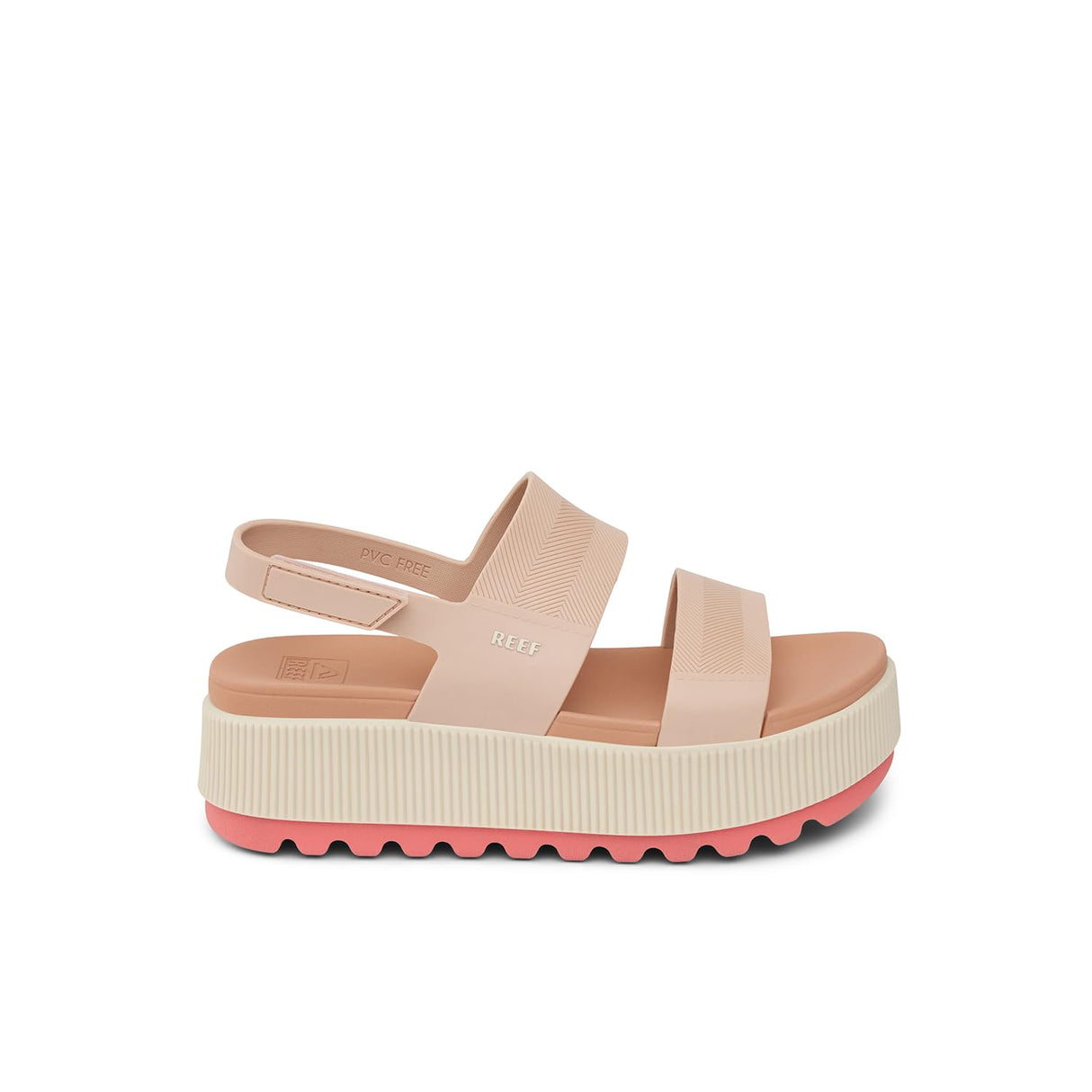 Sunset Coral