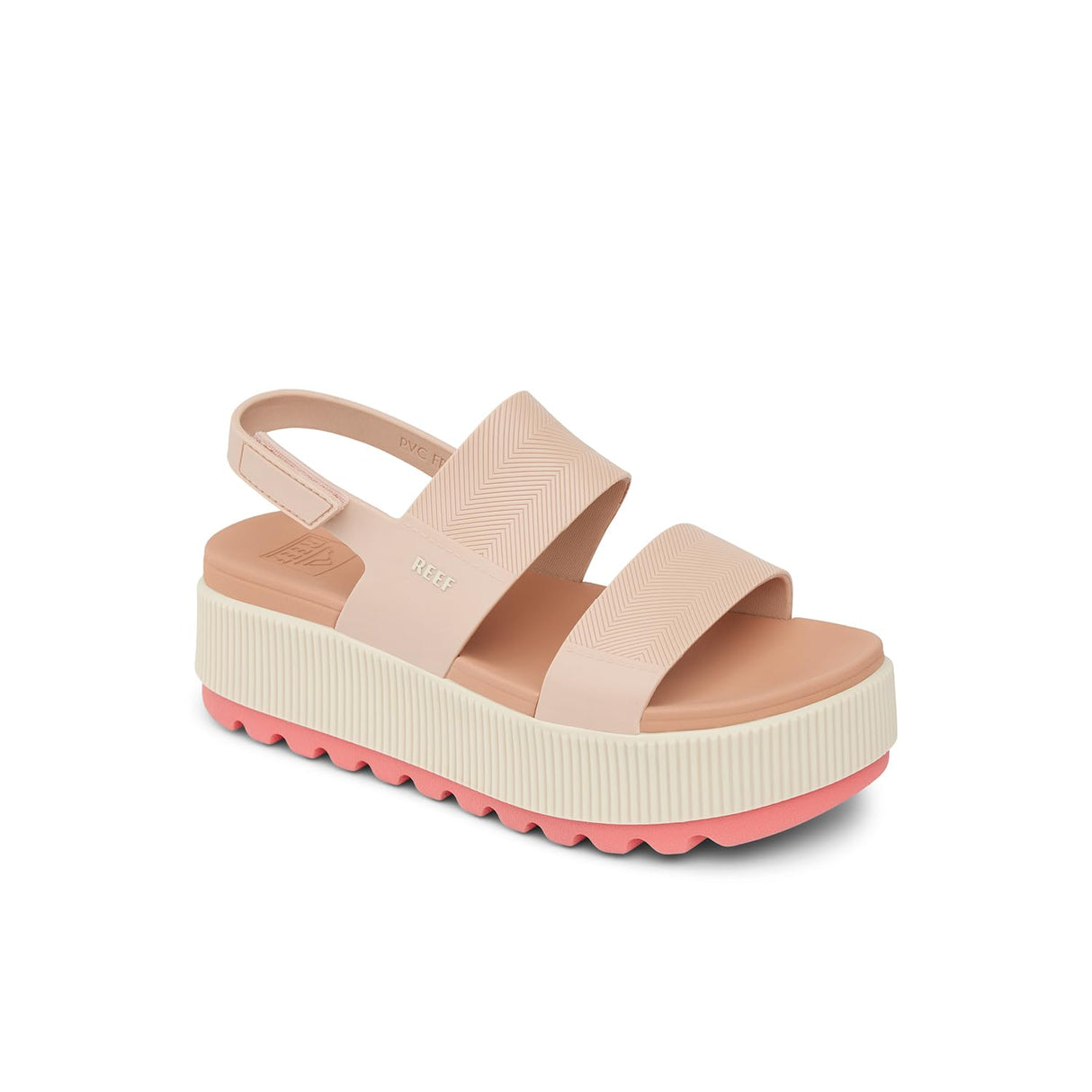Sunset Coral