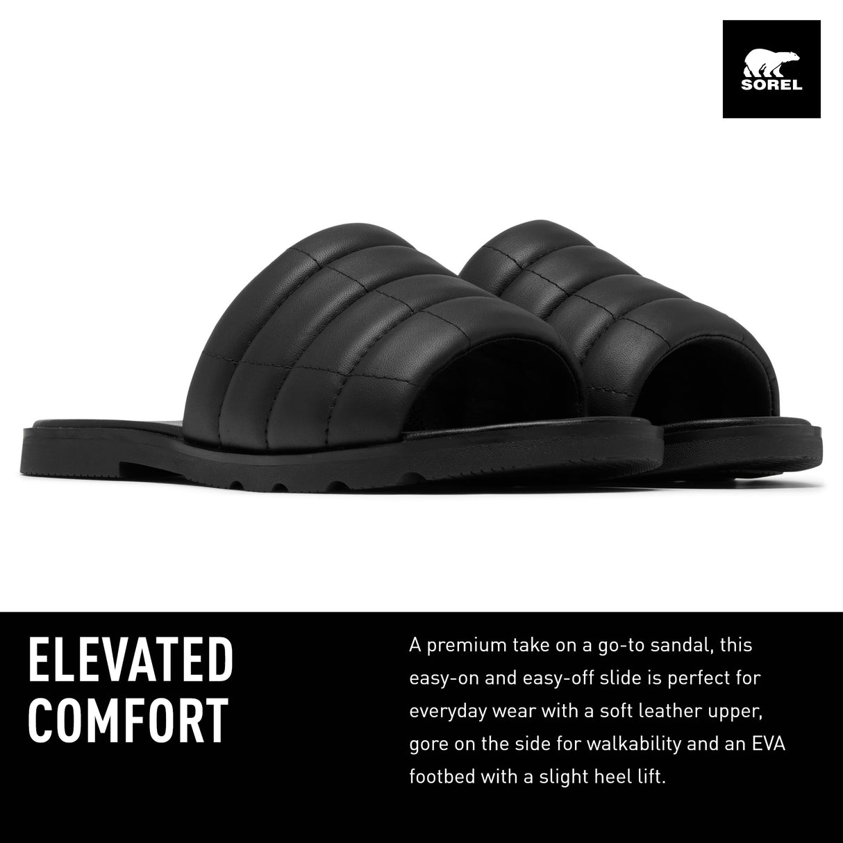 black/black