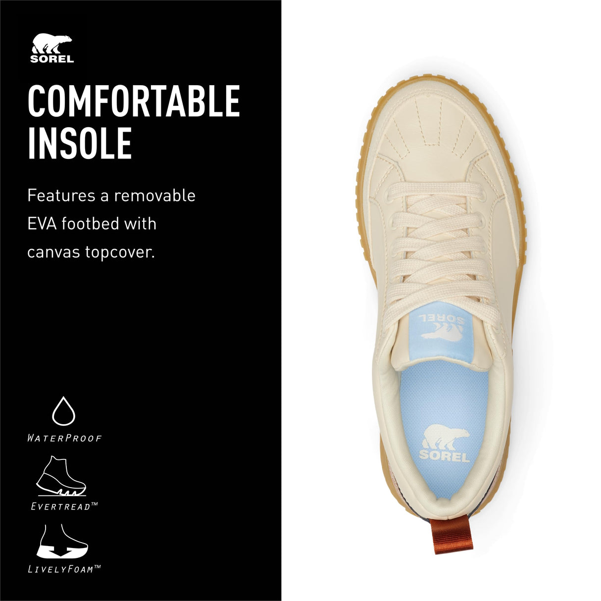 Honey White/Sanguine