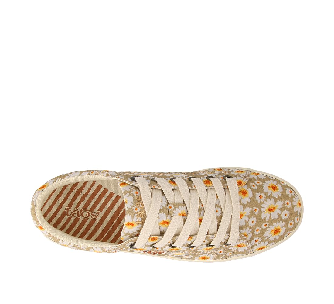 Tan Daisy
