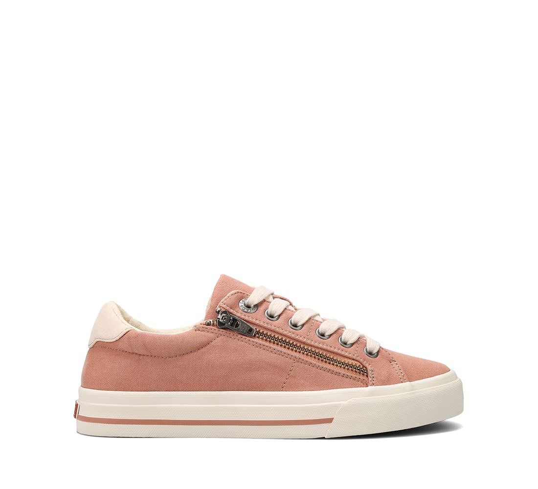 Clay/Cream Distressed