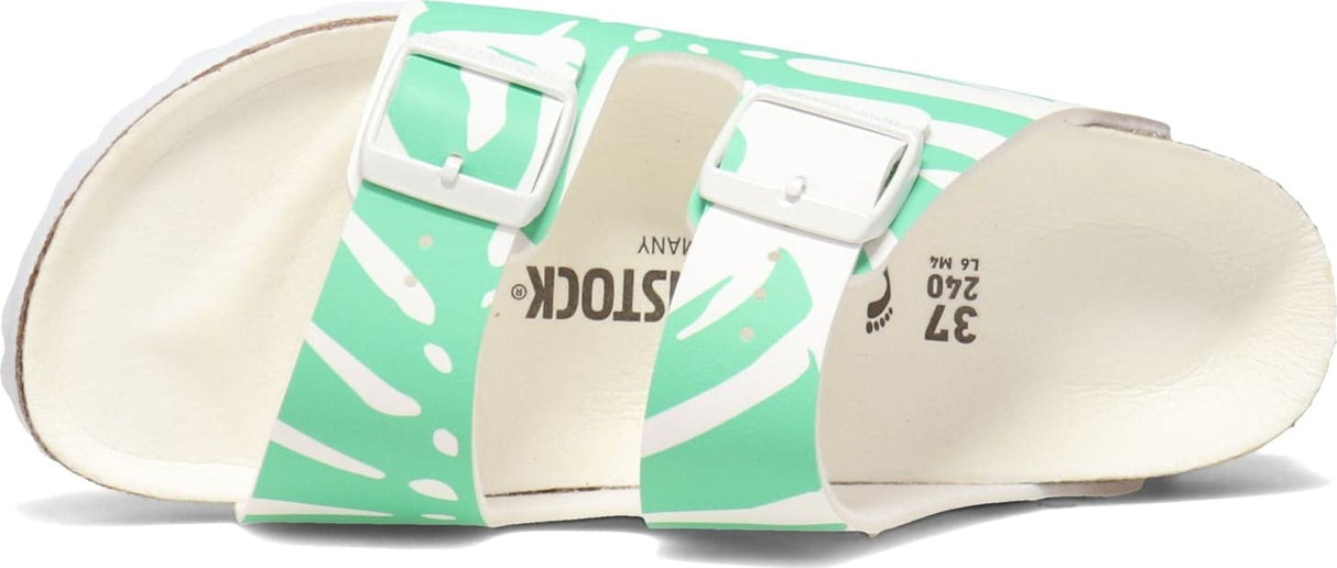 Monstera White/Bold Jade