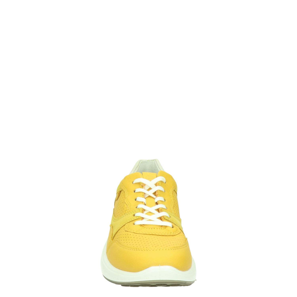 Merigold/Merigold/Shadow White