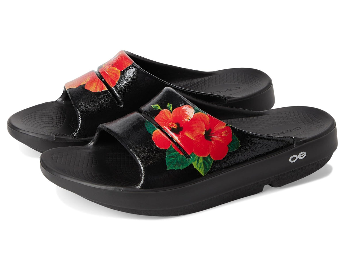 Pop Hibiscus