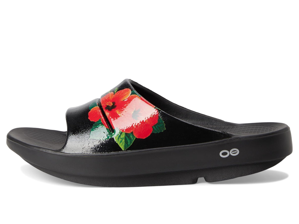 Pop Hibiscus