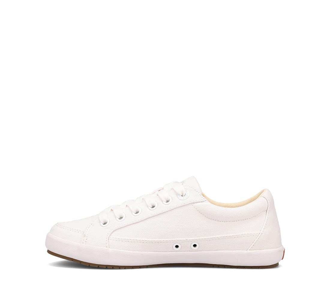 White Canvas