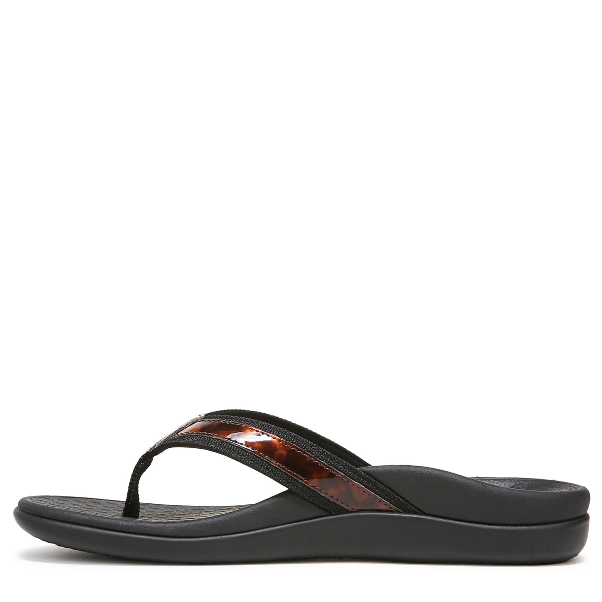 Black Tortoise