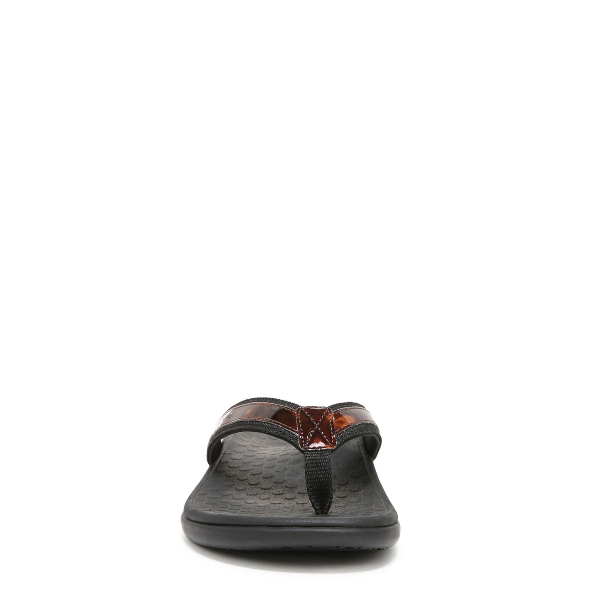 Black Tortoise